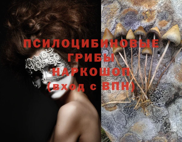 синтетический гашиш Богородск