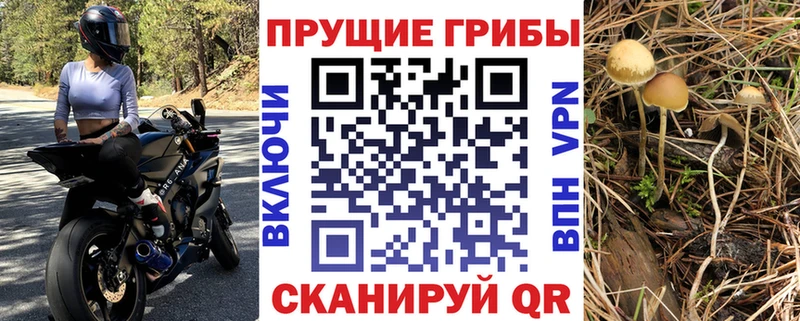 Галлюциногенные грибы ЛСД  закладка  Коломна 